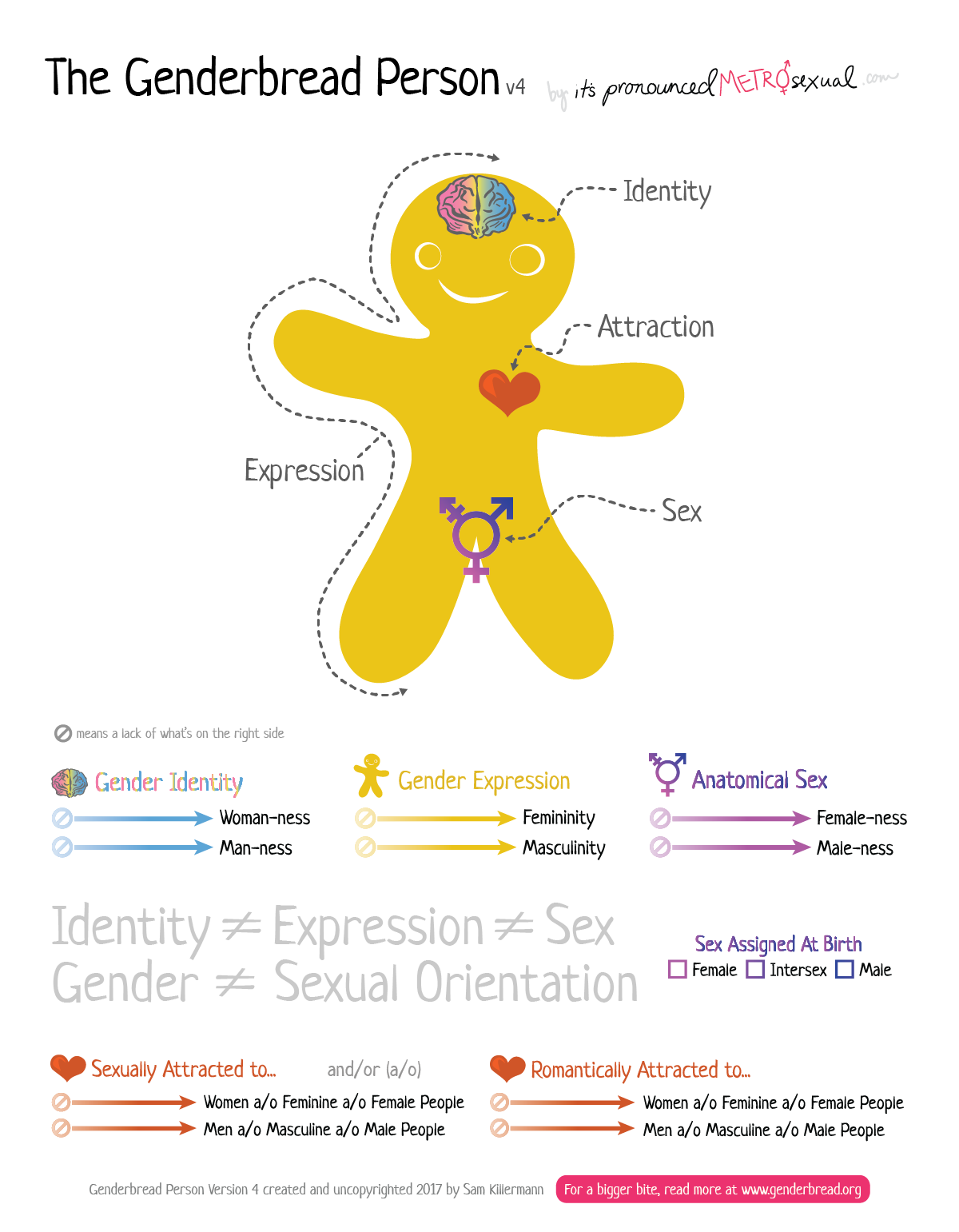 Genderbread Person model illustration